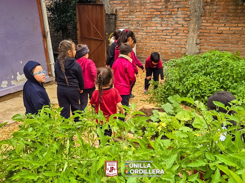 ¡Grandes noticias para nuestra comunidad! 🌟