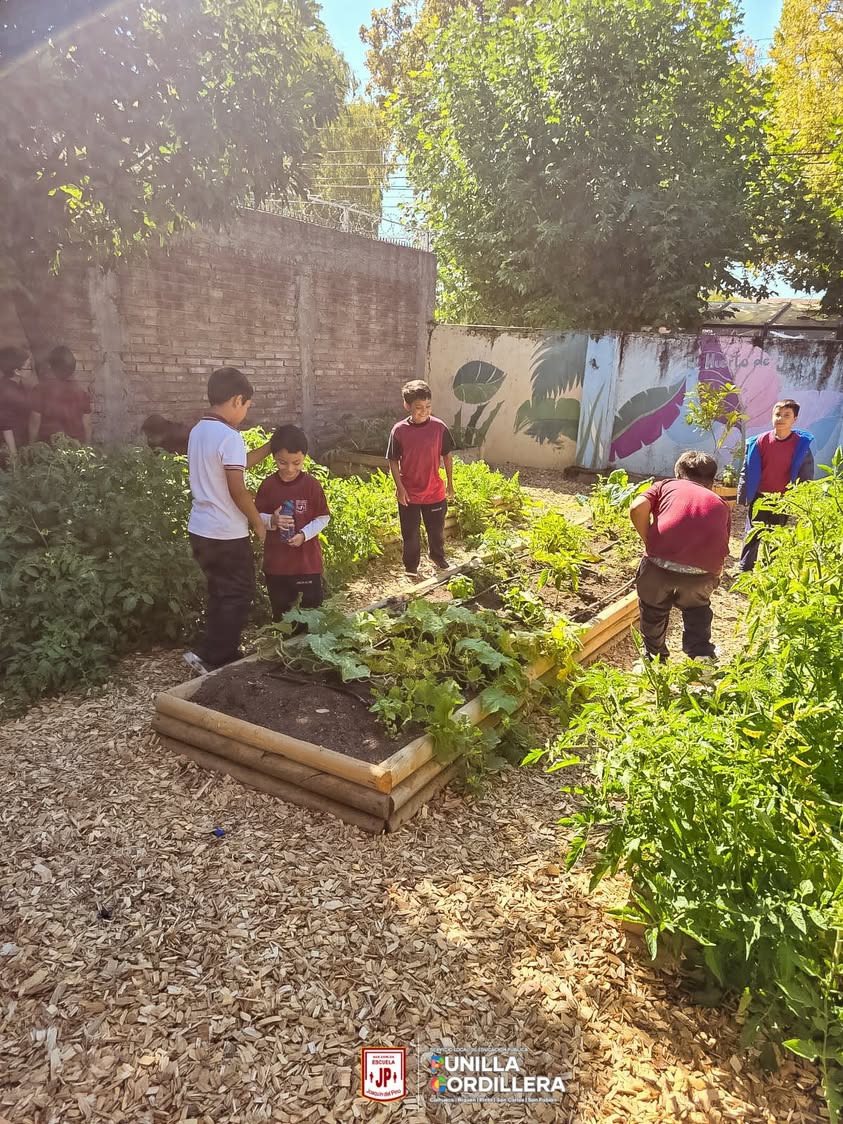 🌱 ¡Sembrando Futuro en la Escuela Joaquín del Pino! 🌿  